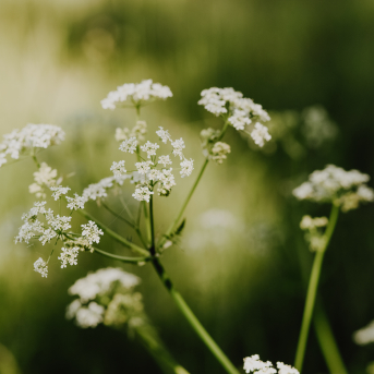 SPĒKS, KAS MŪSOS ZIED - 