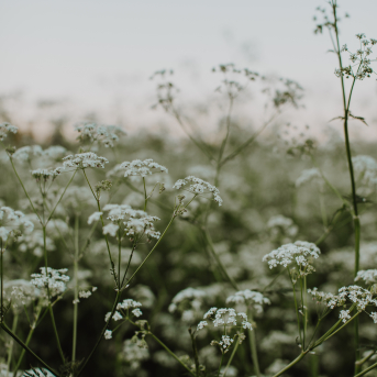 SPĒKS, KAS MŪSOS ZIED - 