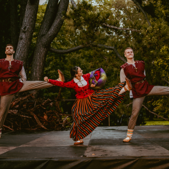 VILKAČU MANTINIECE - 