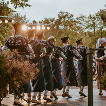 VILKAČU MANTINIECE - 