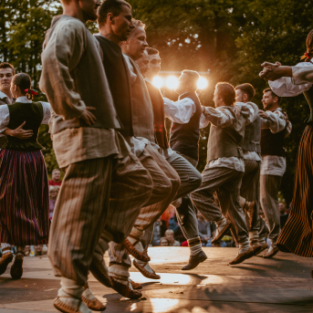 VILKAČU MANTINIECE - 