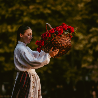 VILKAČU MANTINIECE - 