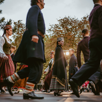 VILKAČU MANTINIECE - 