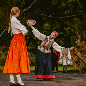 VILKAČU MANTINIECE - 