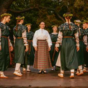 VILKAČU MANTINIECE - 