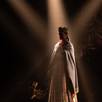 Vilkaču mantiniece - 