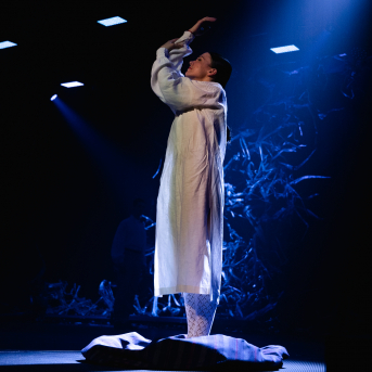 Vilkaču mantiniece - 