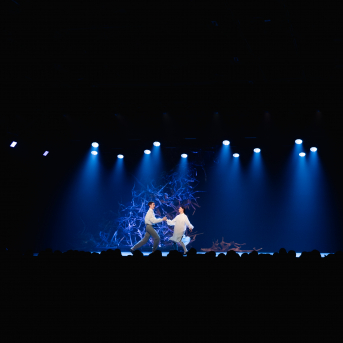 Vilkaču mantiniece - 