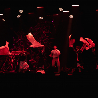 Vilkaču mantiniece - 