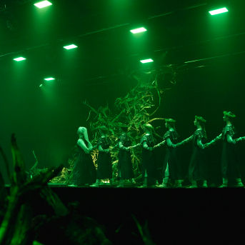 Vilkaču mantiniece - 