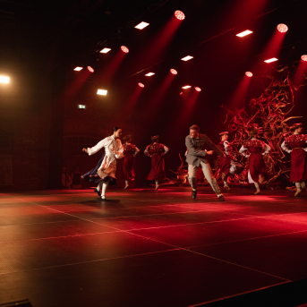 Vilkaču mantiniece - 