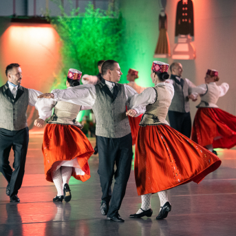 Deju koncerts “Saules pilni visi gaisi” - 