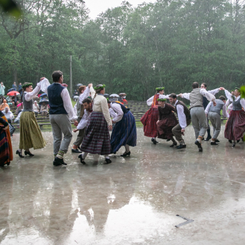 Alsungas pavasara svētku “Suitu Lebediks” tautas deju kolektīvu dižkoncerts "Ļauj ievām noziedēt" - 