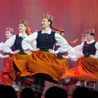 Soļi rakstos 2025 - 