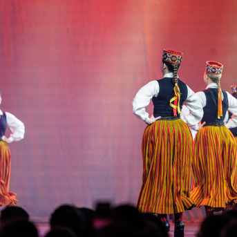 Soļi rakstos 2025 - 