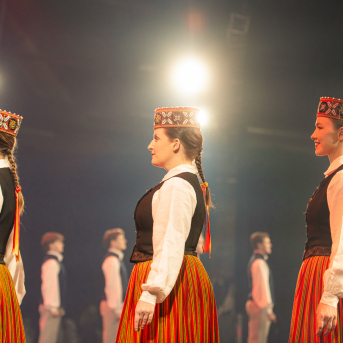 Soļi rakstos 2025 - 